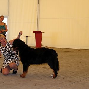 IMG_6377