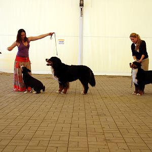 IMG_6379