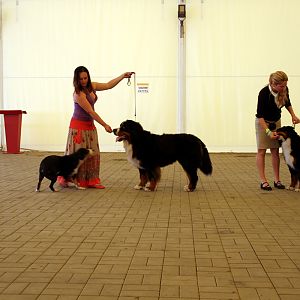 IMG_6380