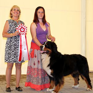IMG_6382