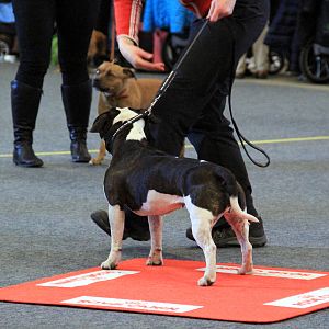 IMG_0574