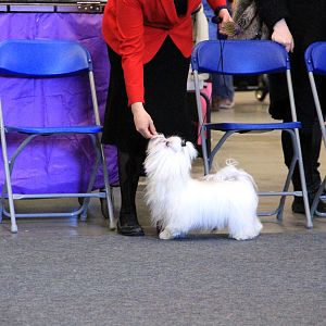 IMG_0581