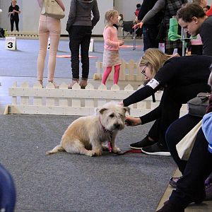 IMG_0630