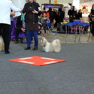 IMG_0676