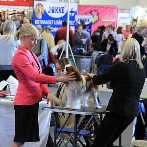 IMG_0684