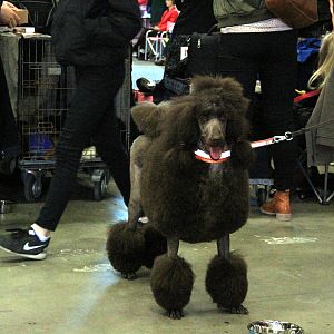 IMG_0688