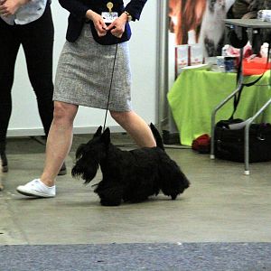 IMG_0697