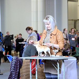IMG_0724