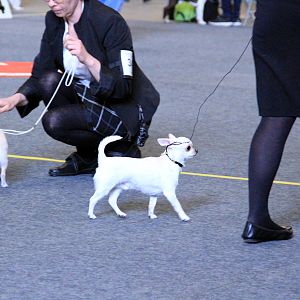 IMG_0726