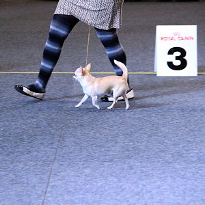 IMG_0730
