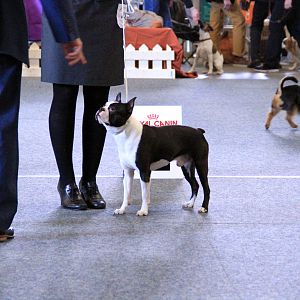 IMG_0753