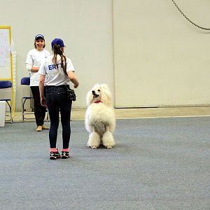 IMG_0506