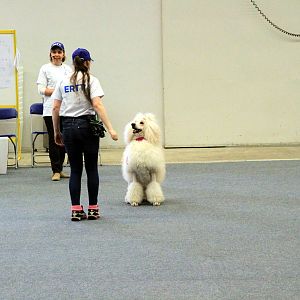 IMG_0507