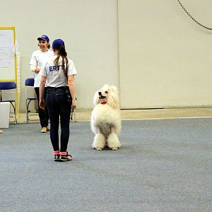 IMG_0508