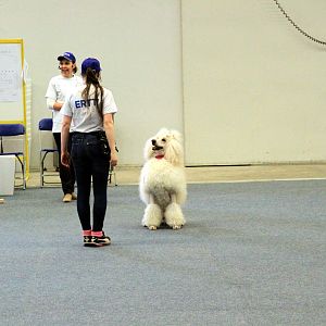 IMG_0509