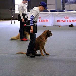 IMG_0510