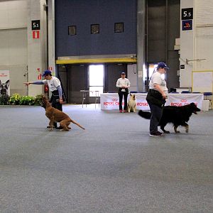IMG_0513