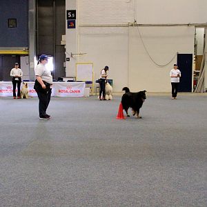 IMG_0515