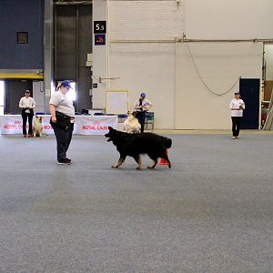 IMG_0516
