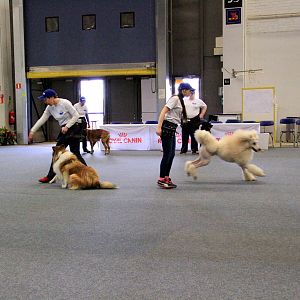 IMG_0517