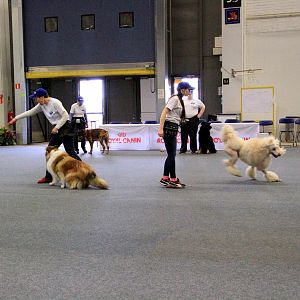IMG_0518