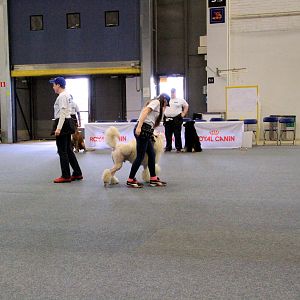 IMG_0519