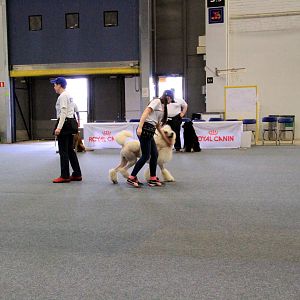 IMG_0520