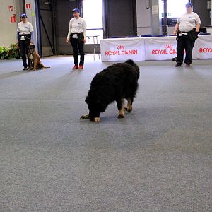 IMG_0522