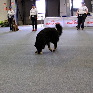 IMG_0523