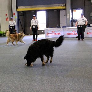 IMG_0524