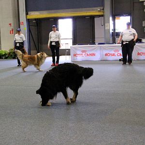 IMG_0525