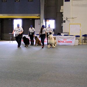 IMG_0527