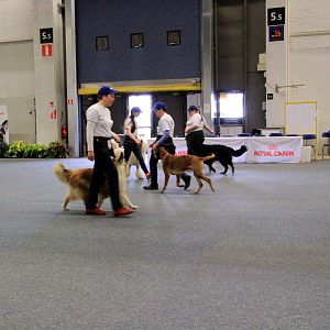IMG_0529