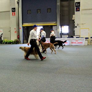 IMG_0530
