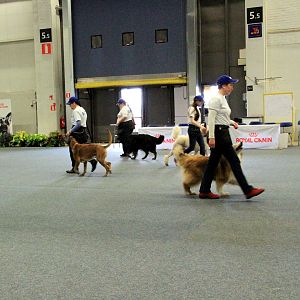 IMG_0531