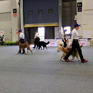 IMG_0532