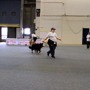 IMG_0533