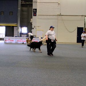IMG_0534