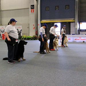 IMG_0536