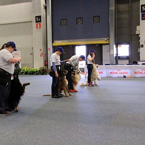 IMG_0537