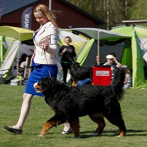 IMG_2224