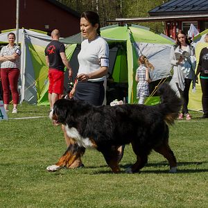 IMG_2243