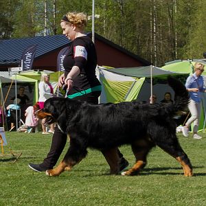 IMG_2256