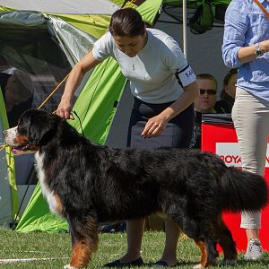 IMG_2282