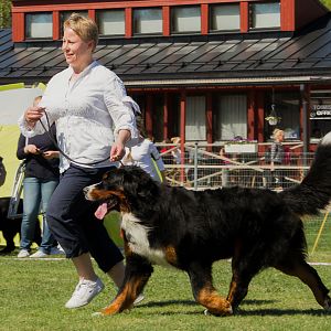 IMG_2321