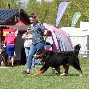 IMG_2333