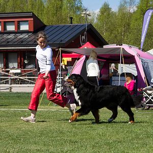 IMG_2344