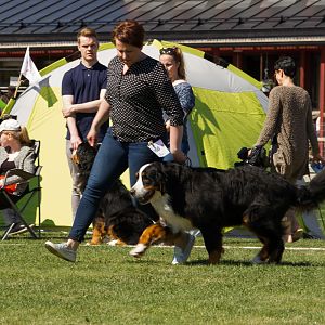 IMG_2352