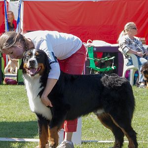 IMG_2376