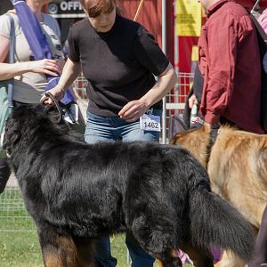 IMG_2419